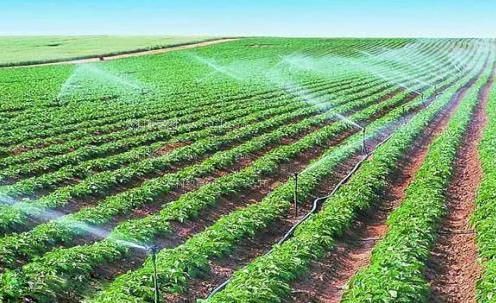 逼操吧农田高 效节水灌溉